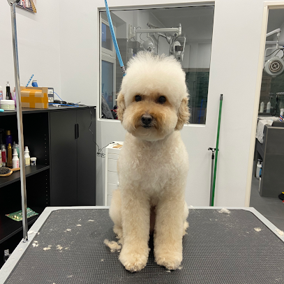 Toelettatura Belli al bagno