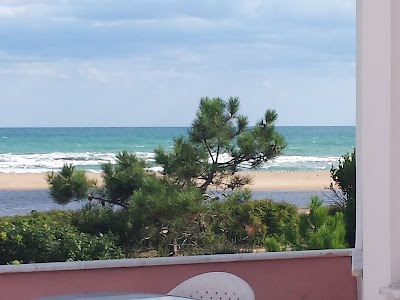 Photos of Hotel Zambak
