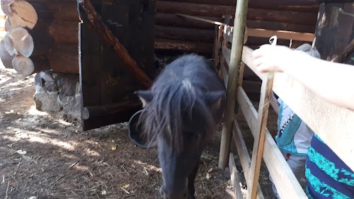 Tore talu - Sarapiku