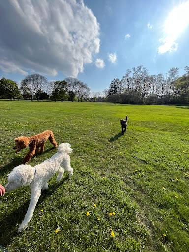 Poppleton Park - Visual