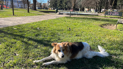 Parco Rivolta - Visual