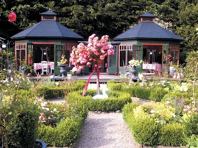 Photos of Der Garten