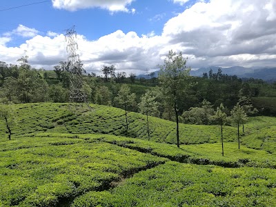 Photos of Perakumpura Kovil