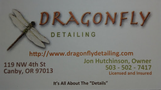 Dragonfly Detailing - Visual
