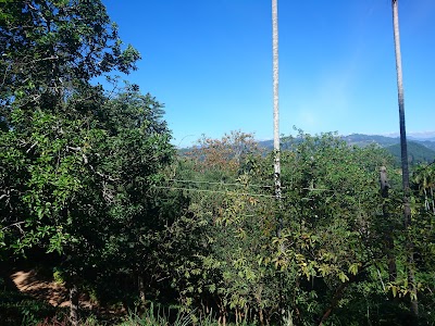 Photos of Ella Mountain Palace