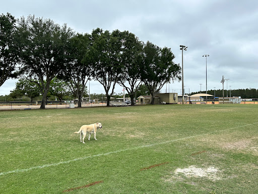 Rob Sullivan Park - Thumbnail