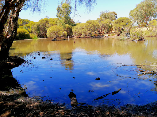 Aldinga St Reserve