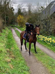 Photo n°28 de Ferme Équestre des Six Chemins à Saint-Jouin (Ferme)