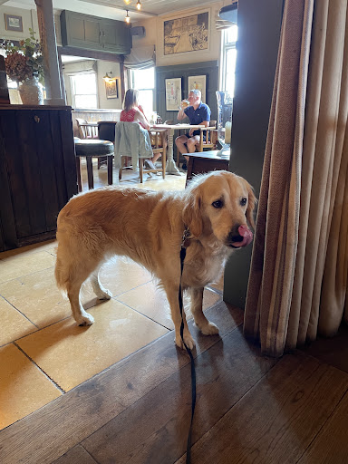 Pheasant Inn - Visual