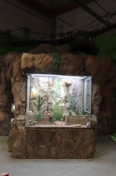 Photo n°10 de Maxi Zoo Saint-Aunès à Saint-Aunès (Animalerie)