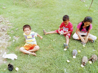 Photos of Mini Zoo