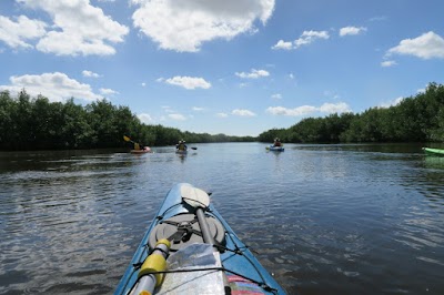 Photos of Jenny's Eco Everglades Wilderness Tours