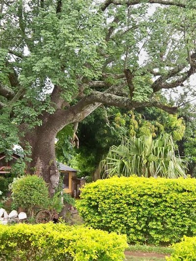 Photos of Caba&ntilde;as El Encanto