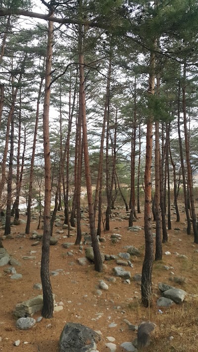 Photos of 백담오토캠핑장