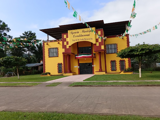 Agencia municipal, constitucional