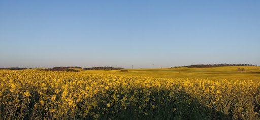 Roter Berg Saalfeld - Visual