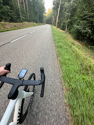 Photo n°31 de MN Bike à Châtenois (Magasin de vélos)
