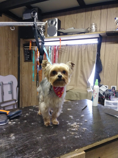 Breezy's Grooming Salon - Thumbnail