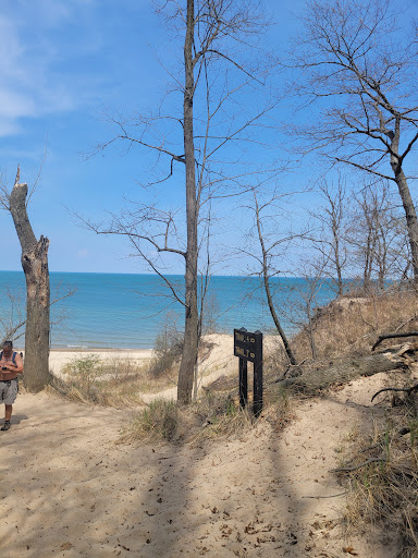 Indiana Dunes State Park Nature Center