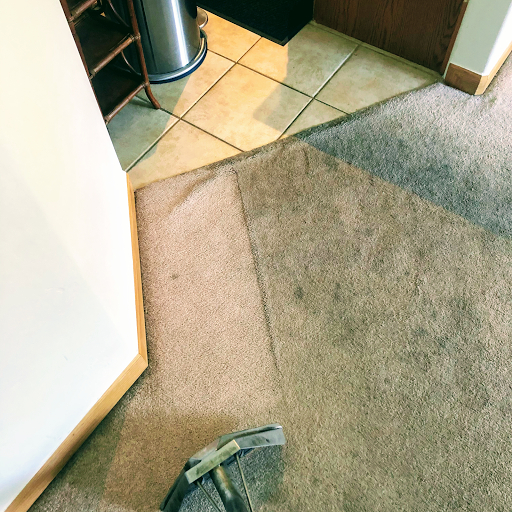 Best Carpet and Upholstery Service