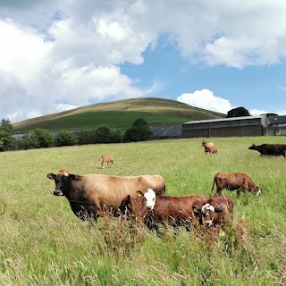 Farm on the Fell