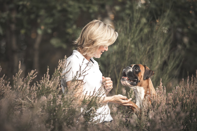 GO FOR DOGS Zertifizierte Ernährungsberatung für Hunde | Gabi Otten photo