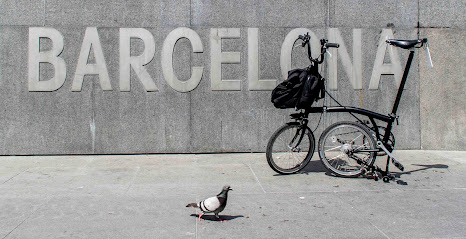 OK Barcelona Tours