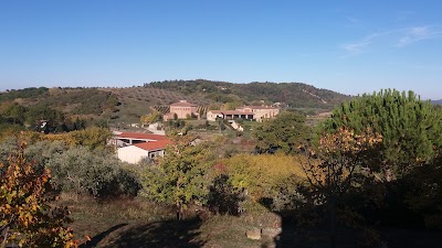 Photos of Agriturismo Il Girasole