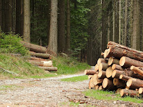 COFORET à Villard-de-Lans