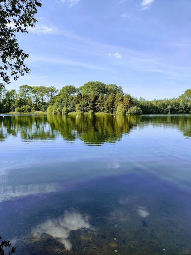 Lynford Water Car Park