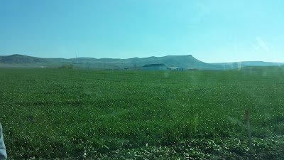 Photos of beyaztaş koy&uuml;