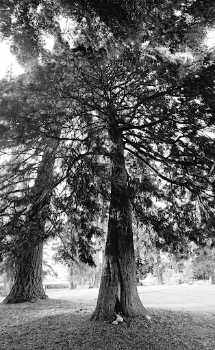 Robert Hope Park - Thumbnail