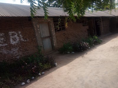 Photos of Arabuko Sokoke Forest