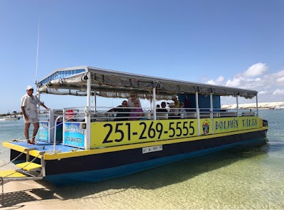 Dolphin Cruise Aboard Dolphin Tales