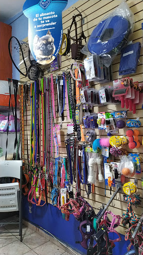 Pet_Shop Tepepan Clínica Veterinaria - Thumbnail