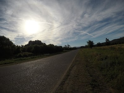 Photos of Humedal Puyehue