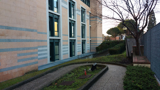 Learning Center Morgagni - Visual