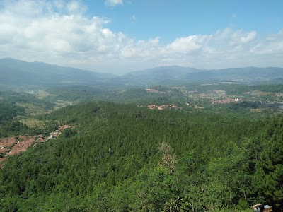 Photos of tegal gede