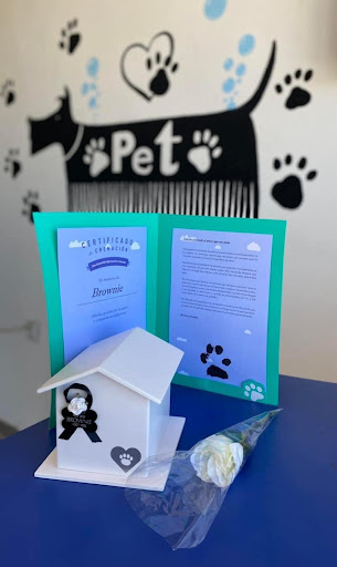 Kika's Vet
