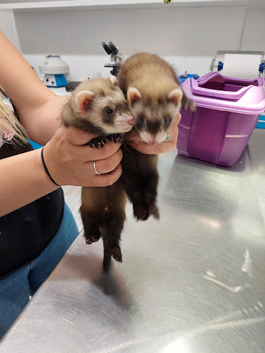 Studio Veterinario " Pet Vet Center" - Thumbnail