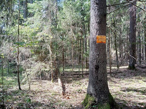 Ievērojamu vietu apskate