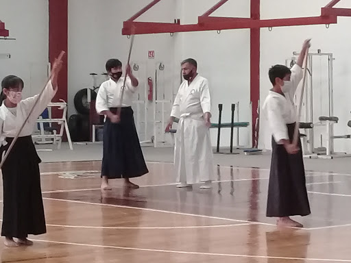 Asociación Promotora de Budo, A.C.