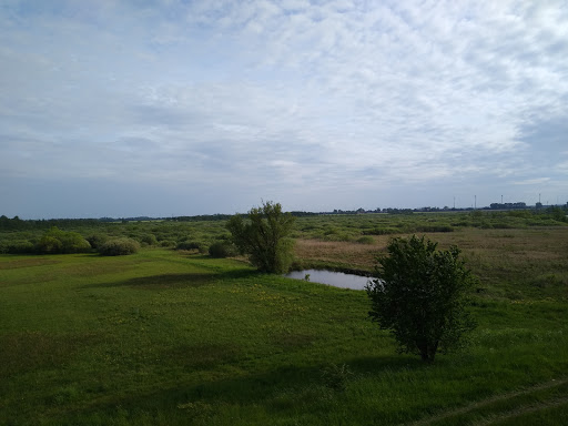 Peenetal von Jarmen bis Anklam Nature Reserve - Thumbnail