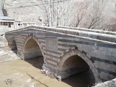 Photos of Hoşap Castle