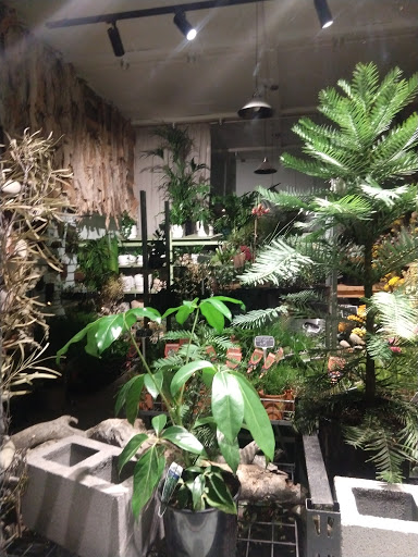 Bush Flowers and Plants Gallery - Australia