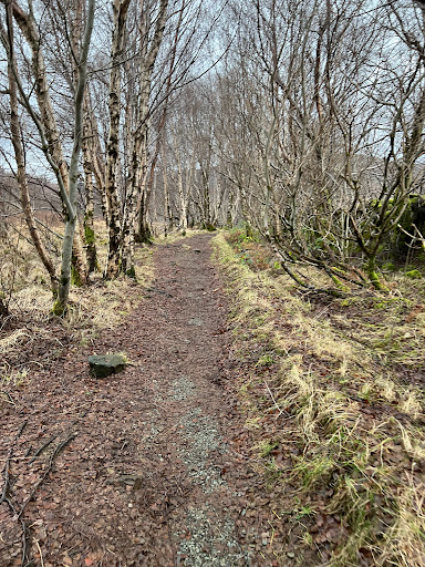 Portree Forest Trails Gallery - United Kingdom