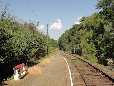 Photos of Magyark&uacute;t