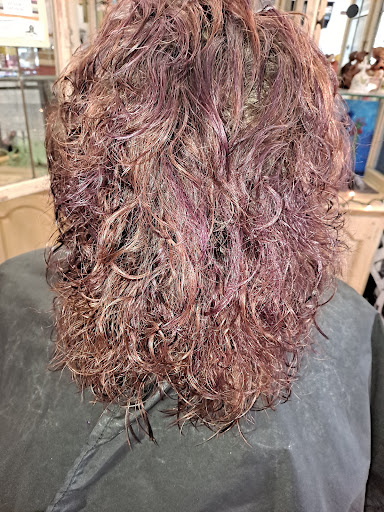 Shear Intrigue Hair Salon Gallery - United States