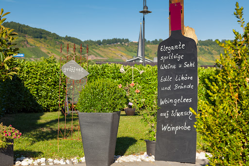 Ferienweingut Jürgen Beth, Weingut & Ferienwohnungen - Thumbnail