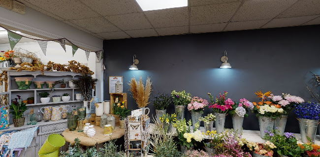 Jolies Fleurs - Bristol